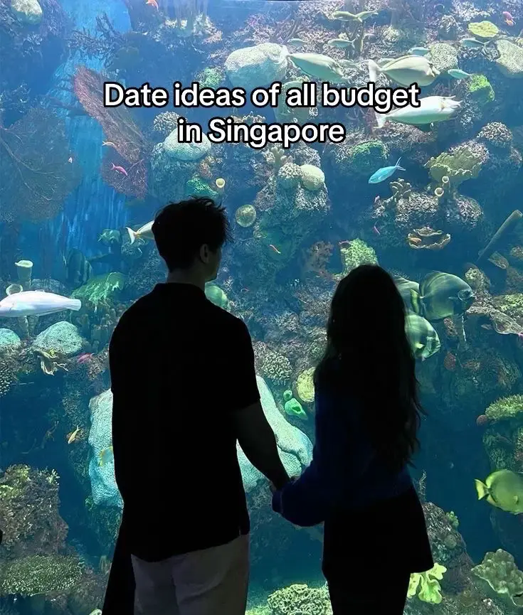 #sgdateideas #dateideas #exploresingapore #sgfoodies 