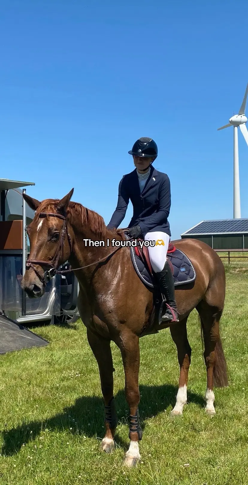 From shetland to (1m80 tall) horse…  #pony #sold #mare #kwpn #shetland #GlowUp #Love #showjumper 