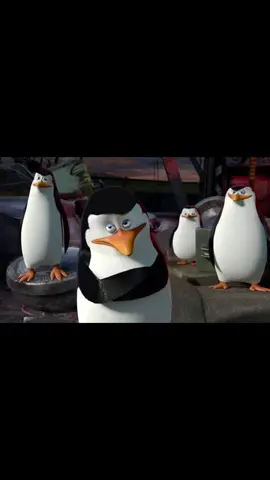Niki mas mentahan pinguin e🔥