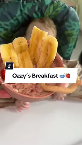 making my 8 month old's breakfast 👶🏼 smashed the banana as always 🍌 but not too sure on the strawberries 🍓 #whatmybabyeats#babymeals#babybreakfastideas#blw#bwideas#babyledweaning#babyledweaningideas#mumlife