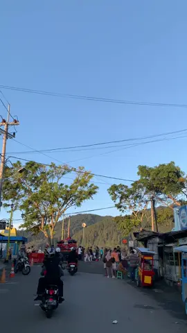 🍃