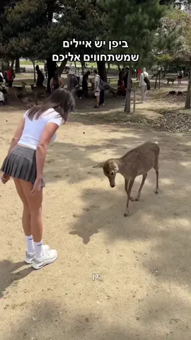 נארה - יפן 📍חובה לבקר חחח