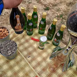 #ناس_القعدة #الزقمتوري #explore #تونس🇹🇳 #الجزائر🇩🇿 #ليبيا🇱🇾 #viralvideo #foryou @ناس القعدة 