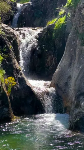 #nature #kurdistan #ali 