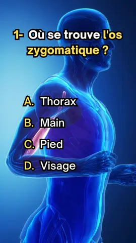 Relève le défi en répondant au quiz anatomie Humaine.  #quiz  #apprendresurtiktok  #test #question  #culturegenerale 