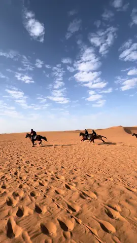 #horselover #horseaddict #showjumping #saudiarabia #horsesoftiktok #iloveit #explore #trending 