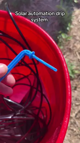 #plantsoftiktok #tiktokshop #solarpower #garden #gardenhacks 