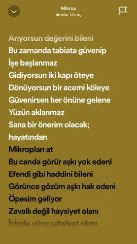 Serdar ortaç-Mikrop#keşfet #spotify #serdarortaç #serdarortaçmikrop 