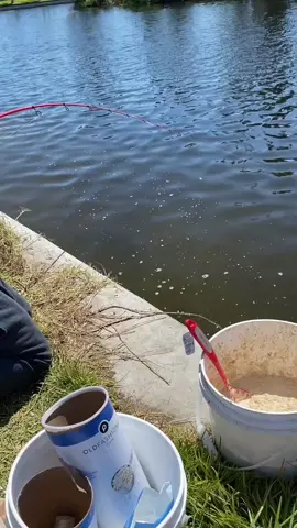 🔥🔥🎣 #hoodfishing #fishing 