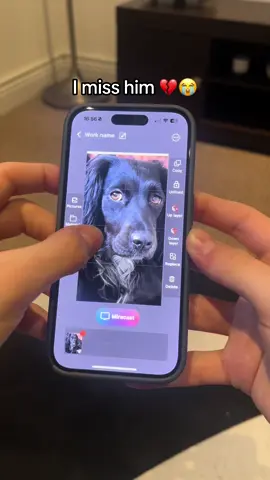 The perfect present for pet lovers ❤️ #petlovers #heartbreak #einkphonecase #eink 