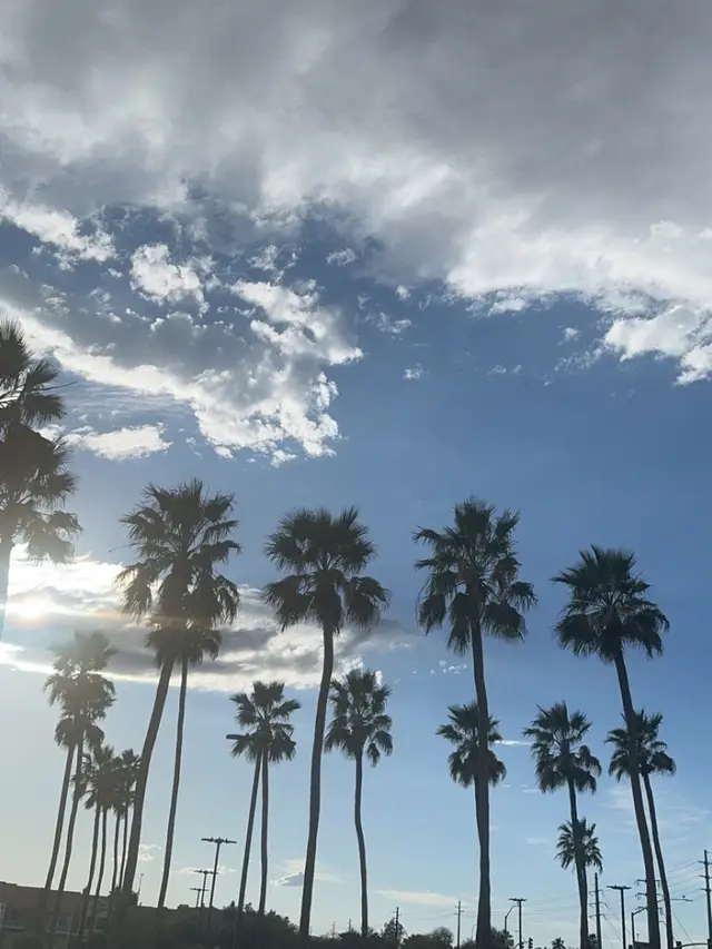 🏜️🌵🤠