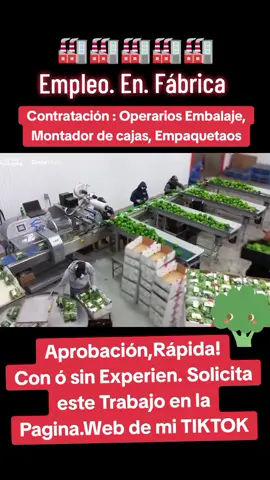 #trabajofabrica #Fábrica #ofertasdetrabajo #empleosreales #brocoli #embalaje #empaquetar #viraltrending #seguridad #asistentes #limpieza #personaldetrabajo 