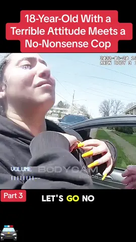 18-Year-Old With a Terrible Attitude Meets a No-Nonsense Cop