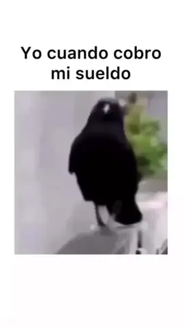 yo con dinero 🤑 💸 💰 🤷 y después otro día sin nada 