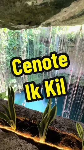 Il Cenote Ik kil resta uno dei miei cenote preferiti nello Yucatán, ed é per questo che é una tappa fissa durante il nostro On the Road “Yucatán Sulle orme dei Maya” #cenoteikkil 