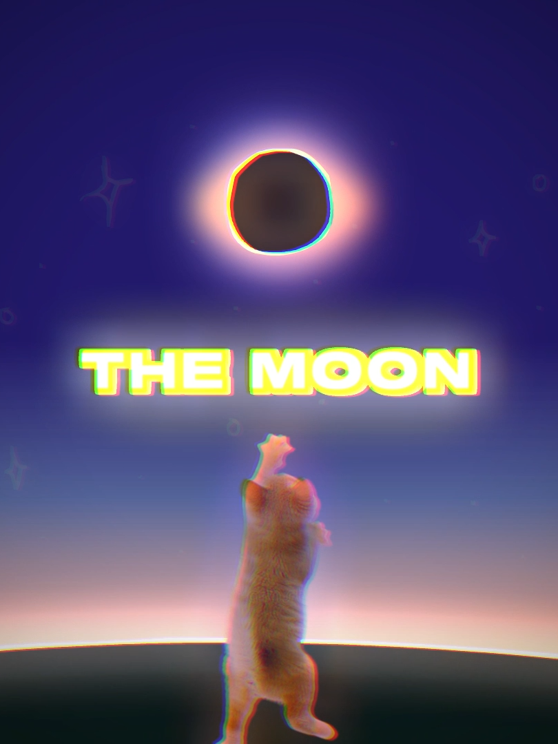 tek it cat edit ‼️🌕 this took me less time than usual, but still a fire video!!! #cats #sillycats #tekit #stockdancing #animation #meme