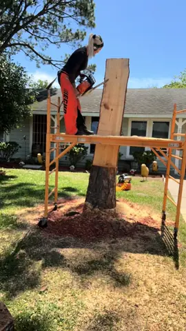 Last name sign i carved for my friends yard today in a dead tree stump  #artist #art #stihl #chainsaw #titok #foryourpage #carving #sculpture #woodcarving #paint #fyp #dog 