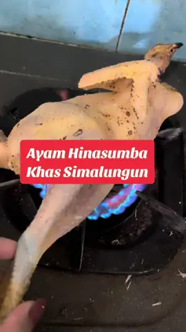 Udah bisa kam rasa aku jadi parumaen ni inang? #mandikkal_abangkuh #simalungun #borubatak #hinasumba #fypシ #fyppppppppppppppppppppppp 