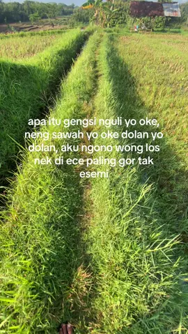 Sembarang wes😂#storyjowo #xbycza #fyp 