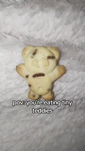 #fyp #fypp #fyppppppppppppppppppppppp #viral #foryou #foryoupage #trending #zyxcba #naakhau #naakhauwuzhere #herarmswerecutoff🤪 #tinyteddies 