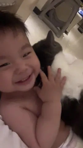 The child is very happy, and the cat heals the family. #fyp #cat #cute #funny #funnyvideos 