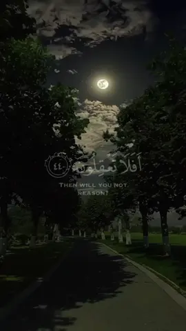 أرح قلبك لمدة ٦٠ ثانية♥️♥️🎧🎧 #قران_كريم #fyp #shorts #عمير_شميم #tiktok 