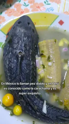#el chico de Yurimaguas 🦜🐍🌴