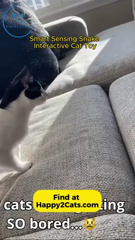 Smart Sensing Snake Interactive Cat Toy💗 Find name product at our website or copy link in comment ! 📣 Use #happy2cats to get featured! No copyright