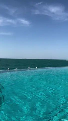 من اول مرة تلاقينا احساسي من جوا تغير #بعشق_روحك #مروان_خوري 