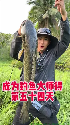 今天釣魚算是讓我感覺到 黑魚的力量了😎 #🎣 #路亞 #黑魚 #fyp #釣魚日常 #台灣 #大魚 #🐟 #裝備 #foryou #釣具 #daiwa #釣竿 #生活 #tiktok #台中 #快樂 #海釣り #台北 #我要上推薦 #運動 #快樂 #生活 #岸拋 #shimano 
