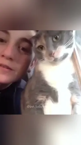 Why do they do it?🤣🤣#cat #cats #cutecat #catlover #catsoftiktok #fyp #foryou #foryoupage #funny #fypシ #funnycat #funnyvideos #funnytiktok #funnyanimals #kitty 
