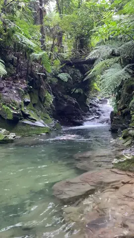 📍Curug Balong Endah, Halimun Salak Bogor ✨ Saking jernihnya berasa cetek tapi yaa sumpah ini dingin banget kaya air es ❄️🧊🥶