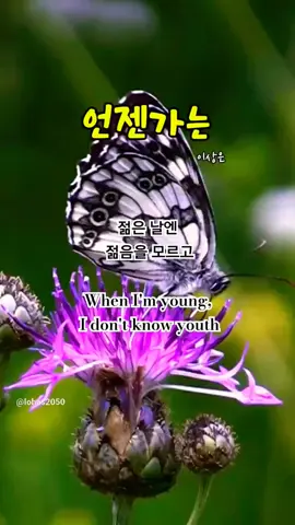#언젠가는 #이상은 