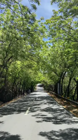 Oslob 🍃 >>> #cebusouth #oslob #roadtrip