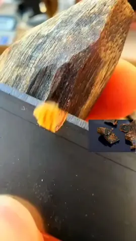 全世界最值钱的木头--奇楠沉香，​香中之王 #Agarwood #Agarwoodtree #AgarwoodChina #Agarwoodresin #Kynam #Kynamtree #KynamAgarwood #Kynamresin #Qinan #Chenxiang #QinanChenxiang  #agarwoodoil #沈香 #沈香樹 #種植沈香 #奇楠 #棋楠 #奇楠樹 #奇楠沈香 #棋楠沈香 #種植奇楠沈香 #綠奇楠 #中國沈香 #中國奇楠  #奇楠沉香 #三农种植  #沉香文化 #助农三农 #三农种植 #知识分享#海南沉香 #三农 #沉香文化 #小本创业 #种植 #沉香 #优质种苗 #创业项目 #珍稀的奇楠香 #农业技术 #农业种植 #创业之路 #我的乡村生活#一带一路#乡村振兴 