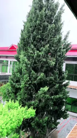 #dear #friends #onthisday #quetta #balochistan #foryou #viraltiktok #fyp #gulistanhouse #rain #LitDifferent 