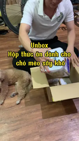 Thức ăn chó mèo sấy khô mà dòm hấp dẫn lắm mấy bà. Cho thằng con ăn đã lun 😙😙 #chuchomo #poodle #Mơ #trending #thucung #viral #thucanchomeo 