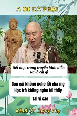 Lão Hoà Thượng Tịnh Không ChủGiảng - Kinh Vô Lượng Thọ  #phapsutinhkhong  #tinhkhongphapsu  #adidaphat #xuhuong  #nammoadidaphat  #xuhuongtiktok 