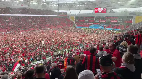 MOMENTO ÚNICO! Um verdadeiro SHOW da torcida do Beyer Leverkusen após a confirmação do título alemão. A história foi feita! 🔥🔥🔥🥹 🎥: Reprodução Bayer Leverkusen  #Futebolinternacional  #tiktokesportes 