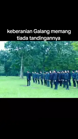 jika Galang tidak dihentikan oleh bunda Lestat maka siapa yang akan menang Galang vs Volturi???@RICKYHARUN  #GGS #4u #fyp 