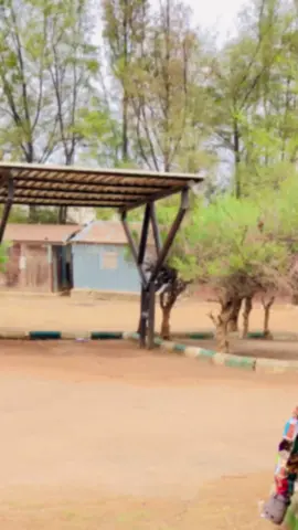 Se shehi na zamfara gudu sama sai jirgi 🛩️😍😍😍 @DAUDA KAHUTU RARARA @RABI'U GARBA GAYA @Aishatulhumairah @AL-HIKIMAH  #kahuturara #trending #viral_video #viral #arewa__tiktok 