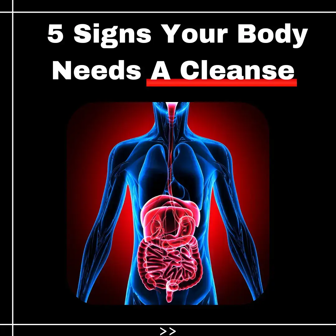 #cleanse #toxins #detox #gutmicrobiome #guthealth #diet #guthealing  . . Checkout our page for more #helpful content like this... >>>>>>