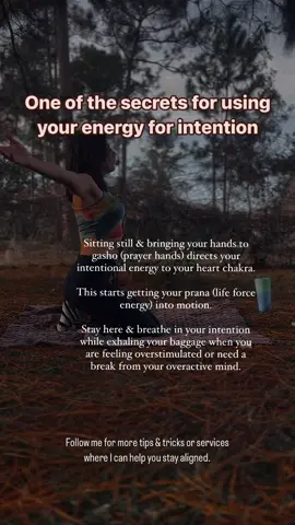Its my forte 💁🏻‍♀️ I’m offering distance reiki sessions for only $35 until April 25th in light of MR. These are accessible through my website at the link in bio.  I also offer spiritual guidance & mentorship programs where i can teach you everything you need to know to start using your energy for your highest purpose.  Comment below if you’re ready to step into a new way of living with me or follow me on insta at @thespiritualmood  #distancereiki #prana #gasho #prayerhands #heartchakra #energyhealing 