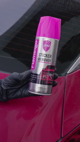 #viral #503 #flamingocarcare #flamingosv 