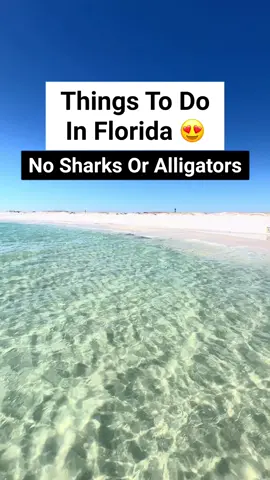 Things to do in Florida without sharks or alligators! Everyone always is asking it something had sharks or alligators when I share places to visit in Florida! Here are some things that have neither for your Florida bucket list! #florida #floridalife #floridasprings #floridatravel #floridatrip #floridavibes #floridavacation #floridapanhandle #travelbucketlist #traveltips #thingstodo #alligator #sharks #sarasota #devilsden 