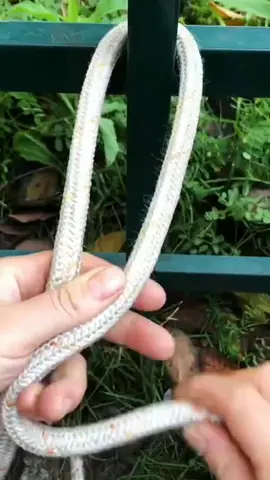 #knot #tips 