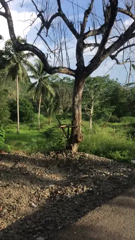 #bukit batu sumsum tebing tinggi awayan Balangan kalsel..#