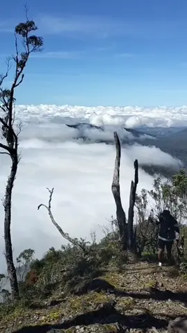 semua bisa mendaki di mutis, tapi sonde semua bisa dapat ini momen di mutis... #mutis #gunungmutis #awan #nttpride🏝🔥 #pesonaindonesia #wonderfulindonesia #timorindonesia #gunungmutisnusatenggaratimur 