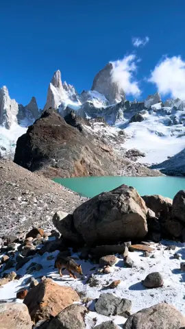 📍Fitz roy, calafate, Argentina🇦🇷❤️🦊 . . . . . . #chalten #patagonia #argentina #fitzroy #elchalten #patagoniaargentina #n #trekking #santacruz #nature #travel #chalt #travelphotography #lagodeldesierto #visitargentina #monta#photography #landscape #turismo #turismoargentina #montefitzroy #lagunadelostres #trekkingargentina #elchalt #calafate #ig #cerrotorre #paisajes #elcalafate❤️❄️ 