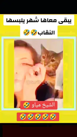 قط زي هيك يخلي البيت كلو محافظ على دينو🤣 ##fun #الشعب_الصيني_ماله_حل😂😂 #fyp #viral #foryou 